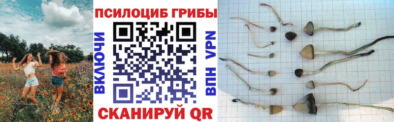 Псилоцибиновые грибы мицелий  Окуловка 